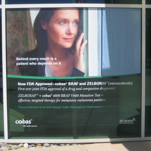 Window Graphics